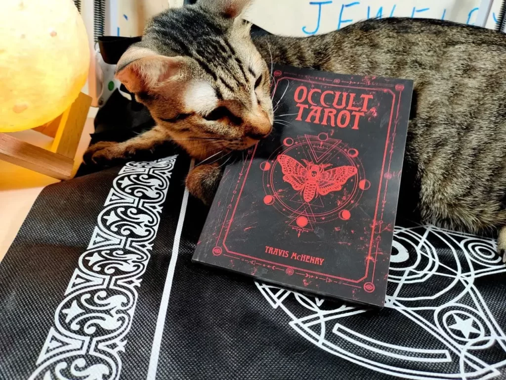 sách Occult tarot và con mèo